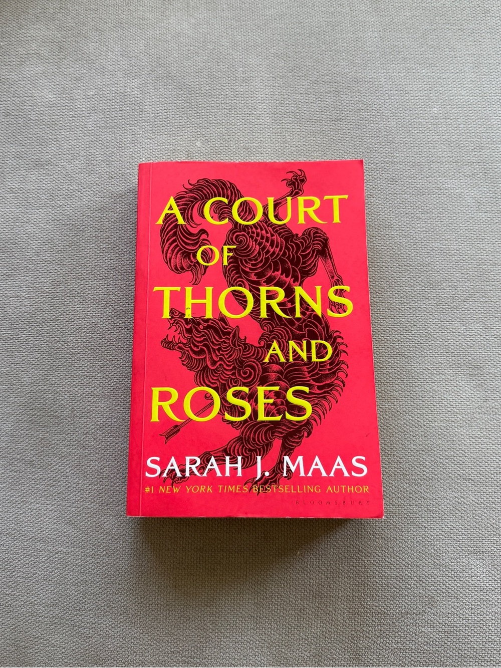 A Court of Thorns and Roses NEW